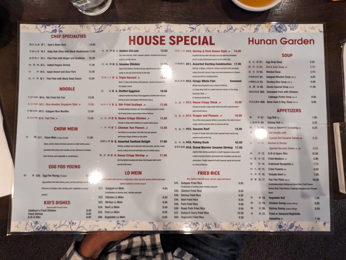 Hunan Gardens Menu - Image 2
